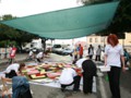 Rassegna_2008_031