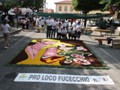RassegnaCervaro_2011_124